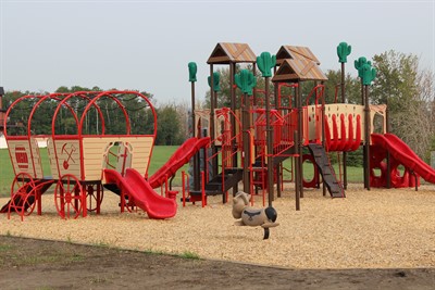 3bdc7e70d67b0adc4377219b06e83ad9fb1f7e94