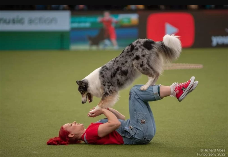 Paws Fur Fun - CANCELLED