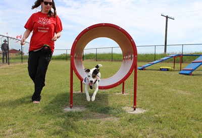 4e59320f4566ed7fa6c0564351be19e8babcb787