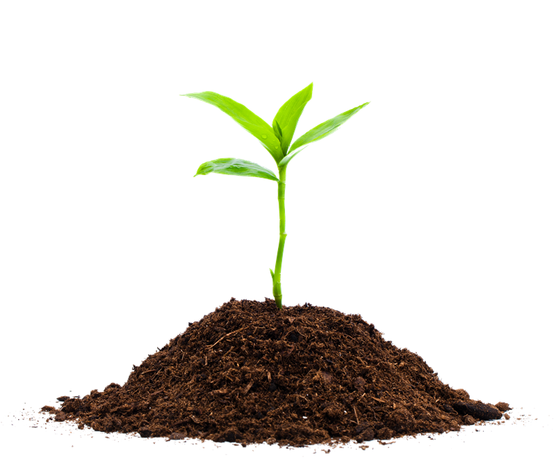 Community Garden Registration Opens